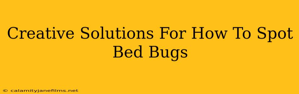 Creative Solutions For How To Spot Bed Bugs