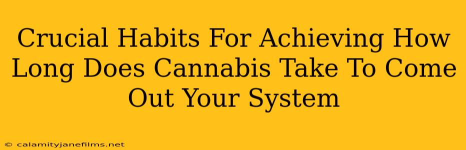 Crucial Habits For Achieving How Long Does Cannabis Take To Come Out Your System