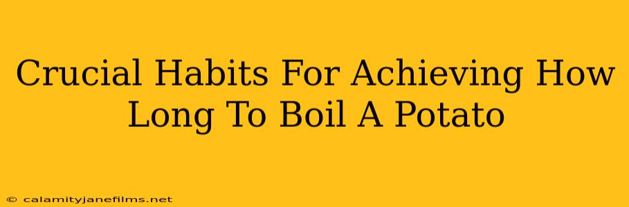 Crucial Habits For Achieving How Long To Boil A Potato