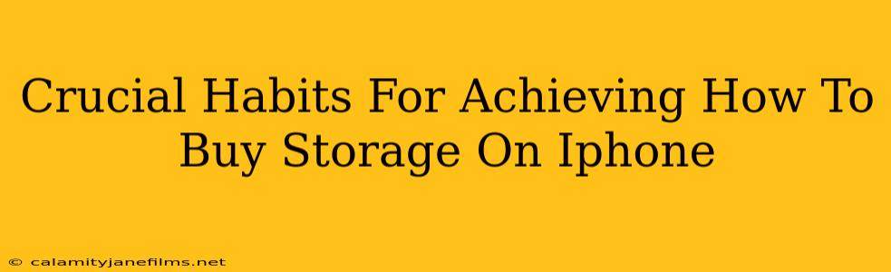 Crucial Habits For Achieving How To Buy Storage On Iphone