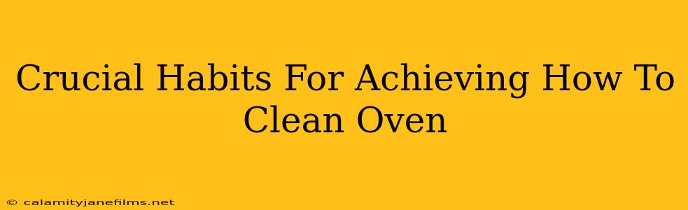 Crucial Habits For Achieving How To Clean Oven