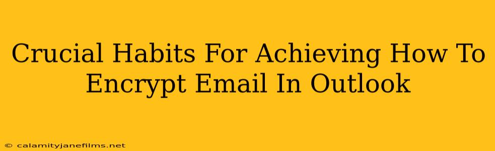 Crucial Habits For Achieving How To Encrypt Email In Outlook