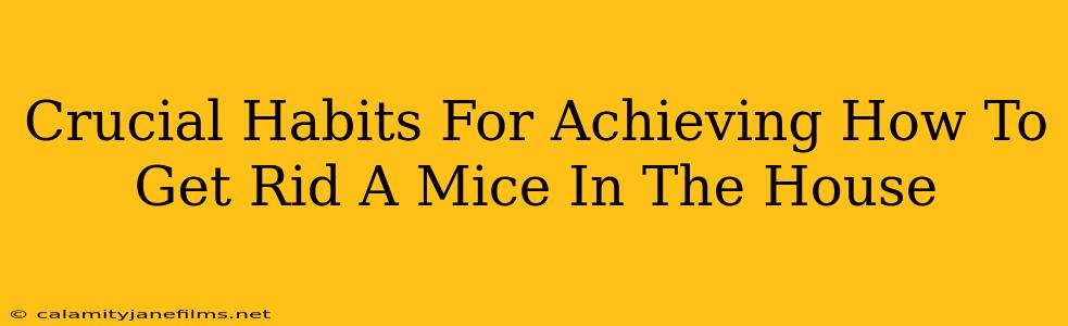 Crucial Habits For Achieving How To Get Rid A Mice In The House