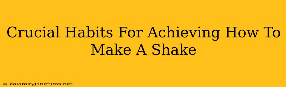 Crucial Habits For Achieving How To Make A Shake