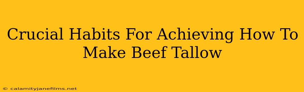 Crucial Habits For Achieving How To Make Beef Tallow