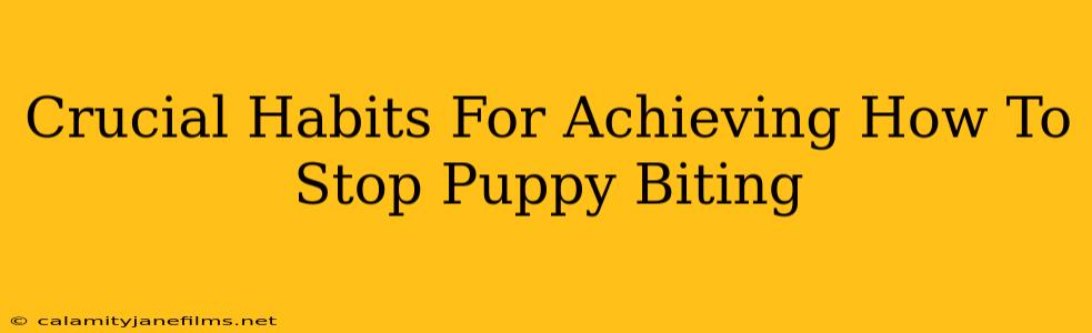 Crucial Habits For Achieving How To Stop Puppy Biting