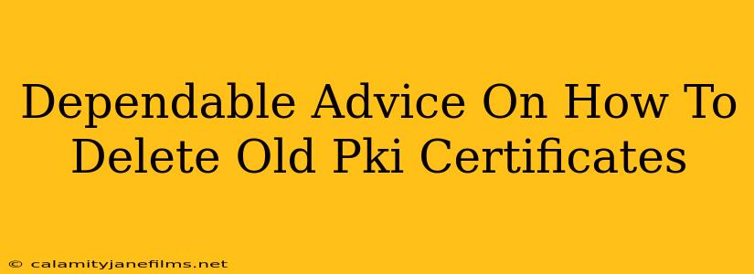 Dependable Advice On How To Delete Old Pki Certificates