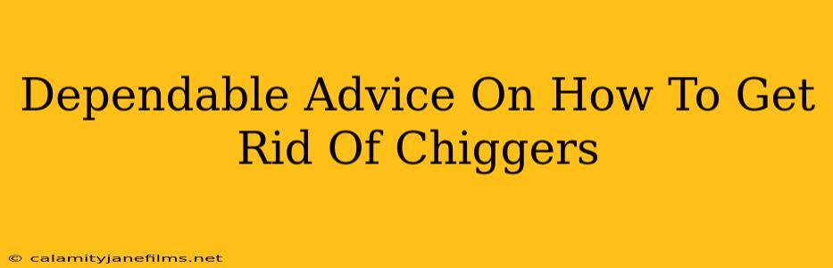 Dependable Advice On How To Get Rid Of Chiggers