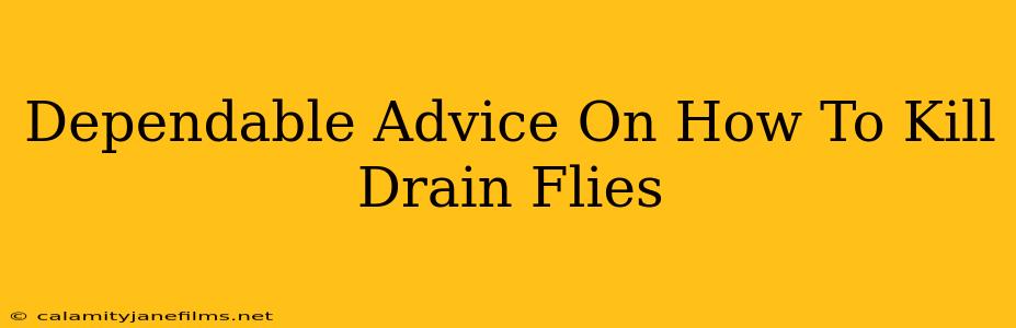 Dependable Advice On How To Kill Drain Flies