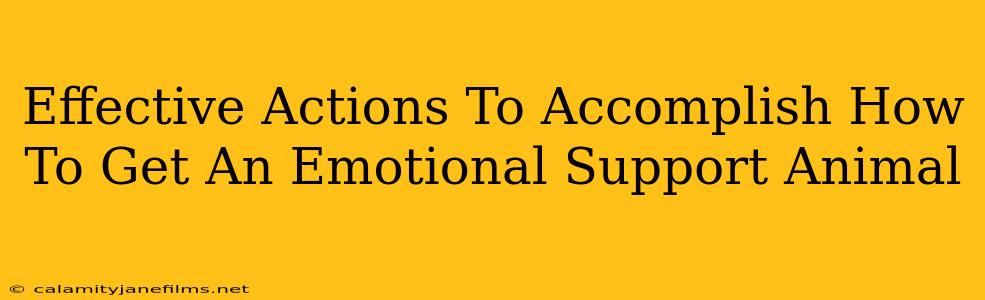 Effective Actions To Accomplish How To Get An Emotional Support Animal