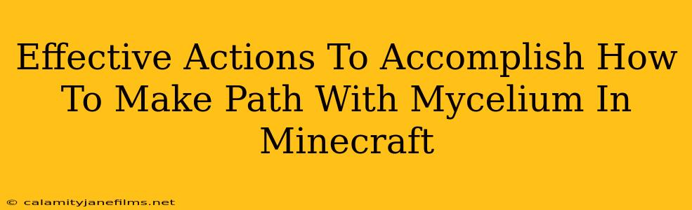 Effective Actions To Accomplish How To Make Path With Mycelium In Minecraft