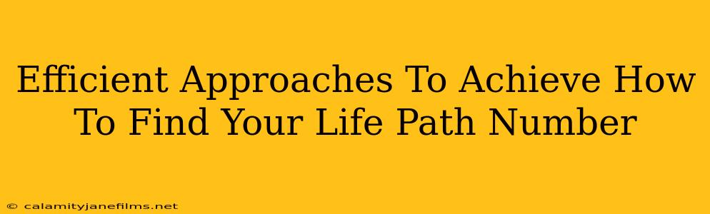 Efficient Approaches To Achieve How To Find Your Life Path Number