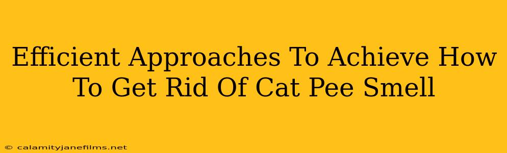 Efficient Approaches To Achieve How To Get Rid Of Cat Pee Smell