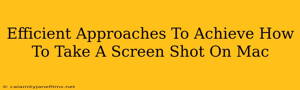 Efficient Approaches To Achieve How To Take A Screen Shot On Mac