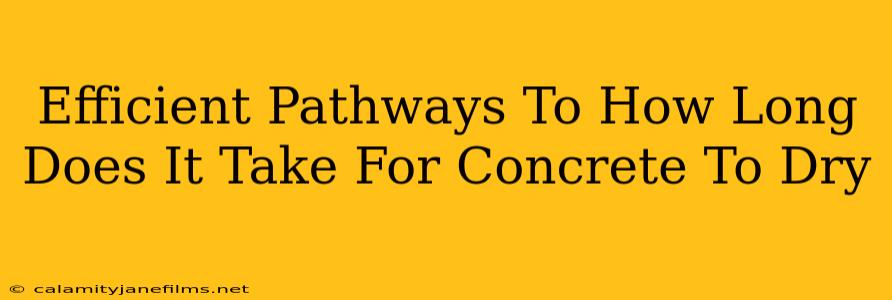 Efficient Pathways To How Long Does It Take For Concrete To Dry