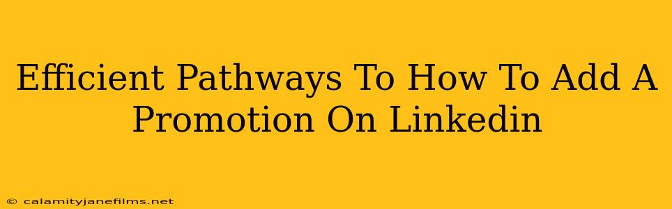 Efficient Pathways To How To Add A Promotion On Linkedin