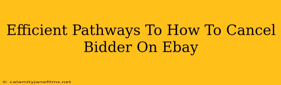 Efficient Pathways To How To Cancel Bidder On Ebay