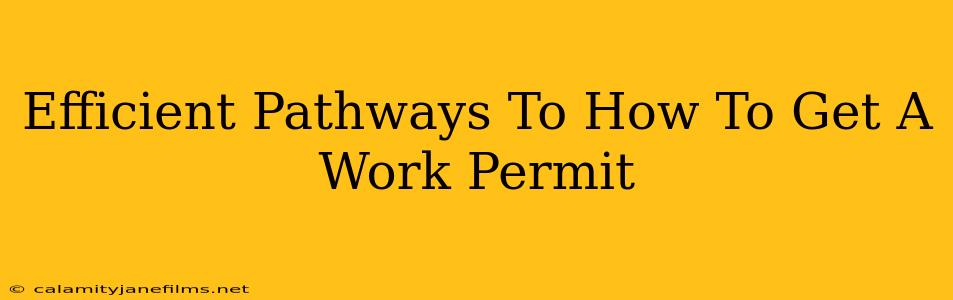 Efficient Pathways To How To Get A Work Permit