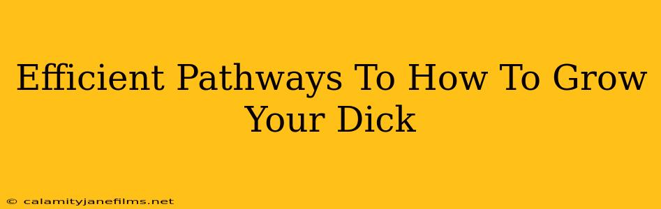 Efficient Pathways To How To Grow Your Dick