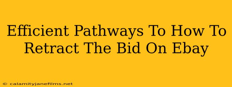 Efficient Pathways To How To Retract The Bid On Ebay