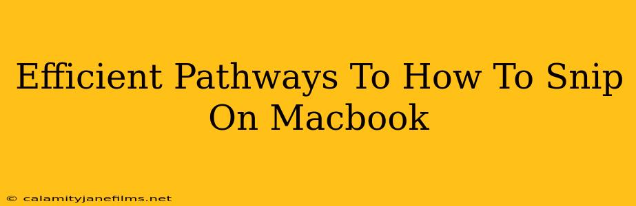 Efficient Pathways To How To Snip On Macbook