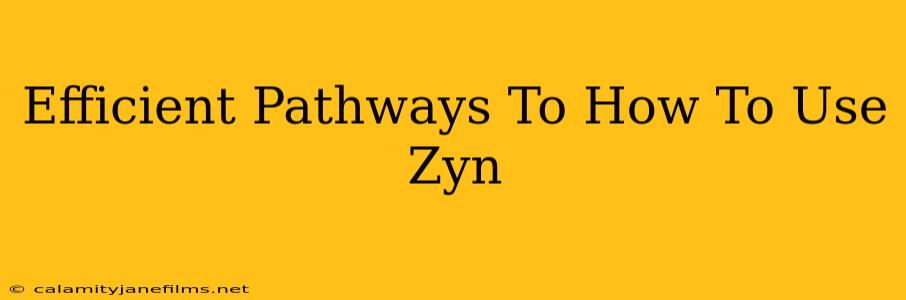 Efficient Pathways To How To Use Zyn