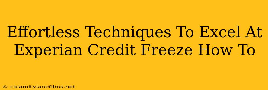 Effortless Techniques To Excel At Experian Credit Freeze How To