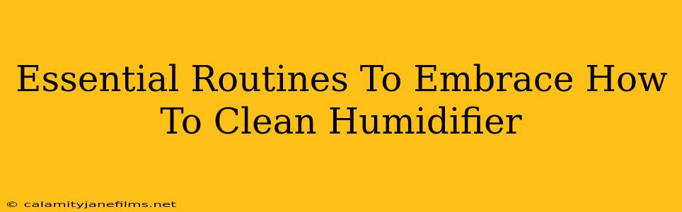 Essential Routines To Embrace How To Clean Humidifier