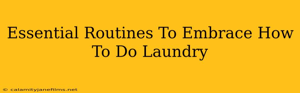 Essential Routines To Embrace How To Do Laundry