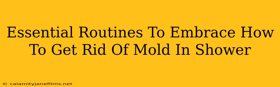 Essential Routines To Embrace How To Get Rid Of Mold In Shower