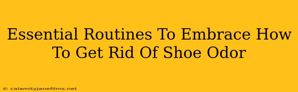 Essential Routines To Embrace How To Get Rid Of Shoe Odor