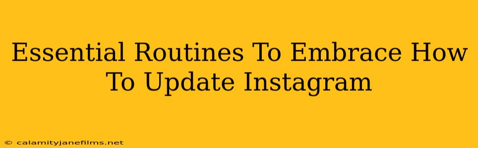 Essential Routines To Embrace How To Update Instagram