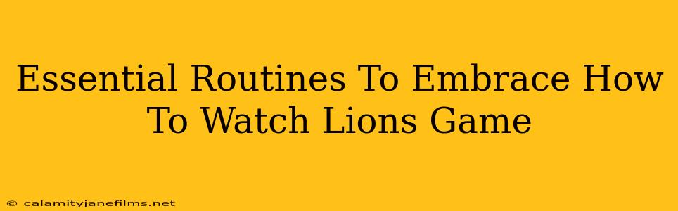 Essential Routines To Embrace How To Watch Lions Game