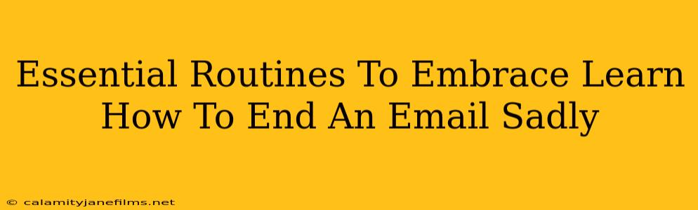 Essential Routines To Embrace Learn How To End An Email Sadly