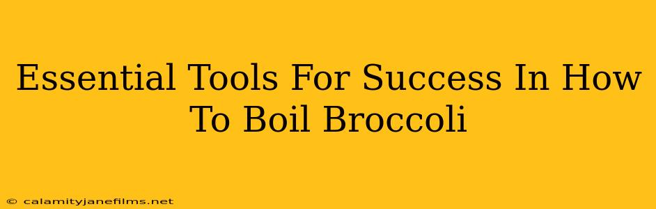 Essential Tools For Success In How To Boil Broccoli