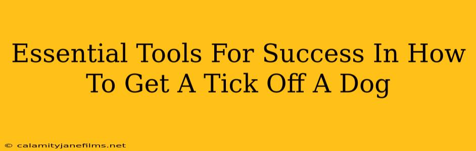 Essential Tools For Success In How To Get A Tick Off A Dog