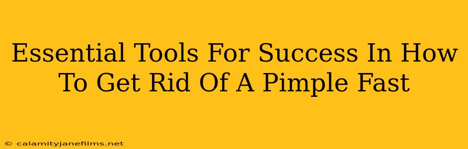 Essential Tools For Success In How To Get Rid Of A Pimple Fast