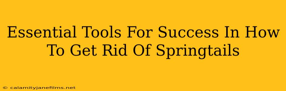 Essential Tools For Success In How To Get Rid Of Springtails