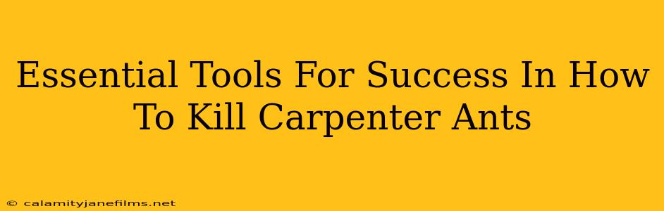 Essential Tools For Success In How To Kill Carpenter Ants