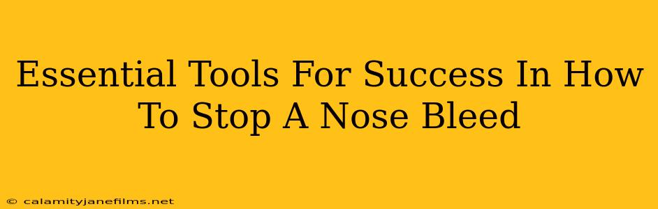 Essential Tools For Success In How To Stop A Nose Bleed