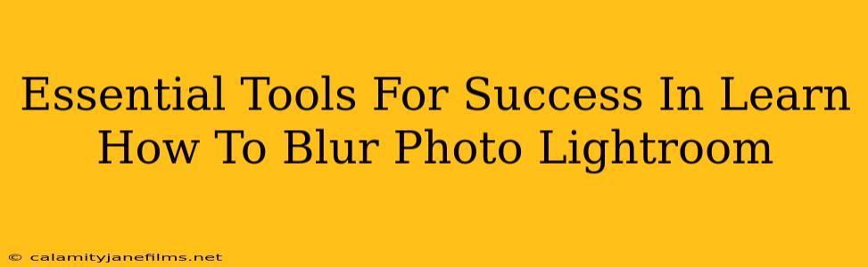 Essential Tools For Success In Learn How To Blur Photo Lightroom