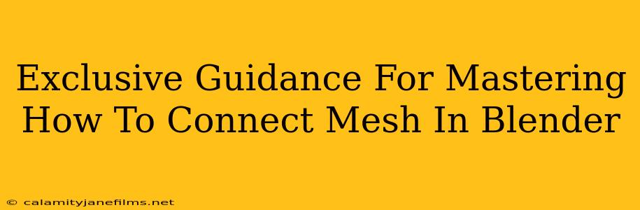 Exclusive Guidance For Mastering How To Connect Mesh In Blender