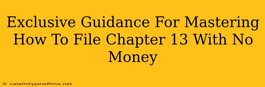 Exclusive Guidance For Mastering How To File Chapter 13 With No Money