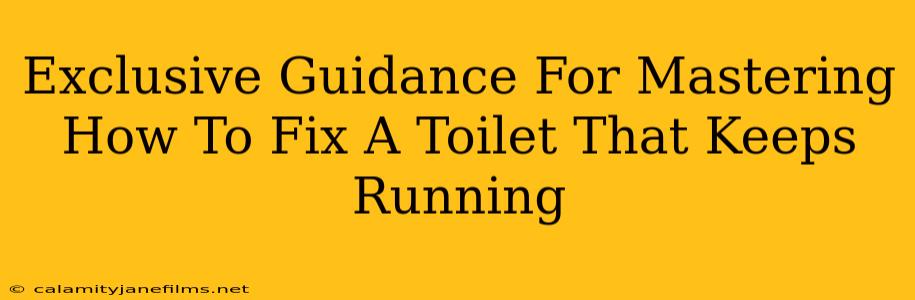 Exclusive Guidance For Mastering How To Fix A Toilet That Keeps Running