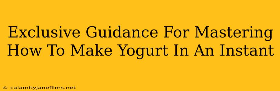 Exclusive Guidance For Mastering How To Make Yogurt In An Instant