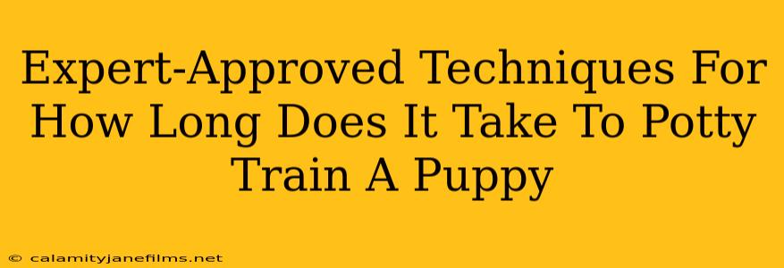 Expert-Approved Techniques For How Long Does It Take To Potty Train A Puppy