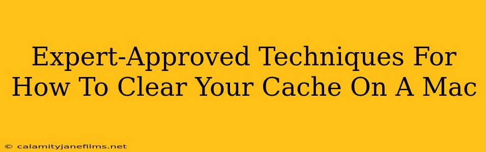 Expert-Approved Techniques For How To Clear Your Cache On A Mac