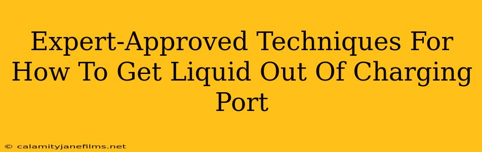 Expert-Approved Techniques For How To Get Liquid Out Of Charging Port