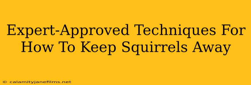 Expert-Approved Techniques For How To Keep Squirrels Away