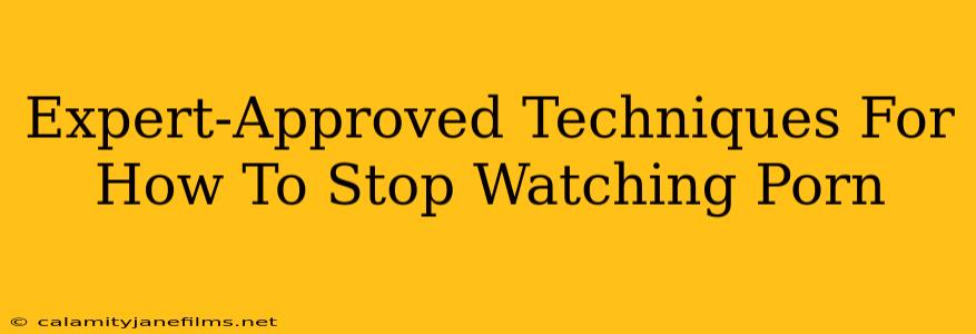 Expert-Approved Techniques For How To Stop Watching Porn